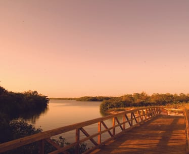 Fort Myers & Sanibel Island